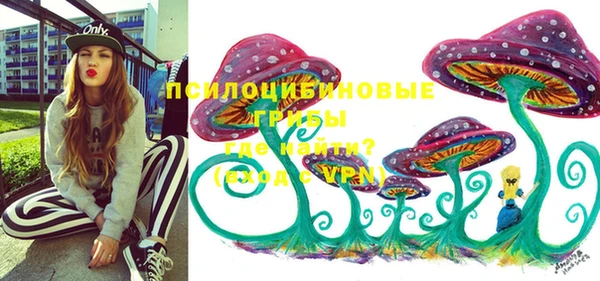 МДПВ Абдулино