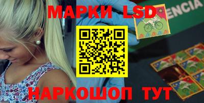 гидропоника Новокубанск