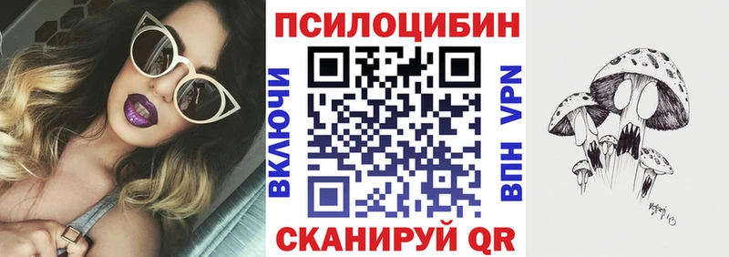 Псилоцибиновые грибы Psilocybe кракен как зайти Нижнекамск
