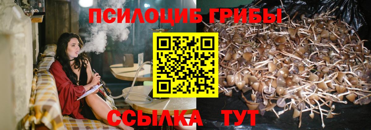 Псилоцибиновые грибы мухоморы  Вход с VPN  где купить наркоту  Нижнекамск 